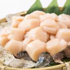 大粒!冷凍帆立貝柱500g×3(計1.5kg)★