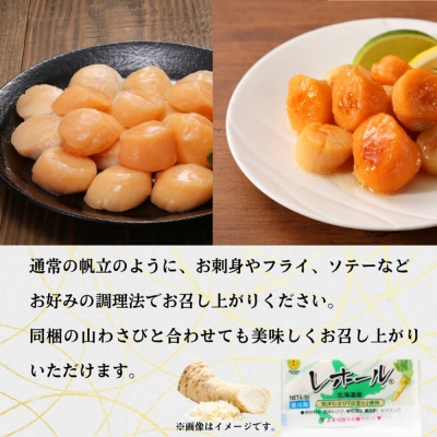 【希少】お刺身用 赤帆立800g　|北海道産　グルメ　海鮮丼