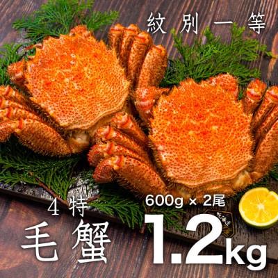 紋別一等～毛がに(600g×2尾)