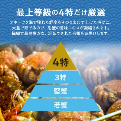 紋別一等～毛がに(600g×2尾)
