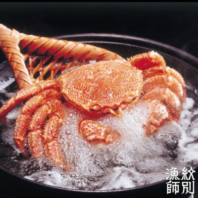 【北海道産】海明け毛がに姿 2尾計約1.0kg【期間限定5月19日まで受付予定】(冷蔵便)