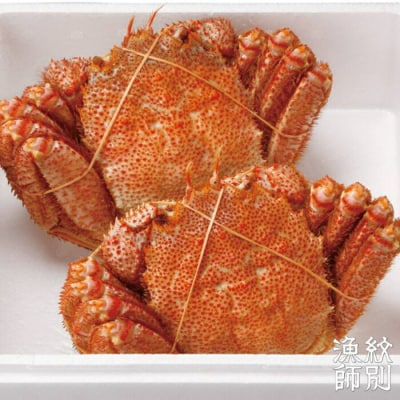 【北海道産】海明け毛がに姿 2尾計約1.0kg【期間限定5月18日まで受付予定】(冷蔵便)