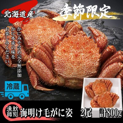 【北海道産】海明け毛がに姿 2尾計約800g【期間限定5月19日まで受付予定】(冷蔵便)