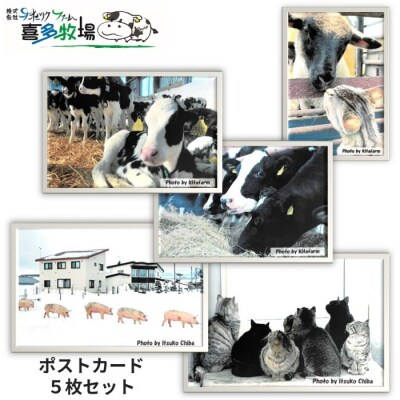 喜多牧場ポストカードセット | 北海道紋別市 | ふるさと納税サイト 