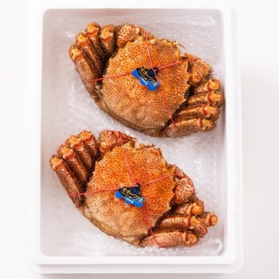 毛ガニ約570g×2尾