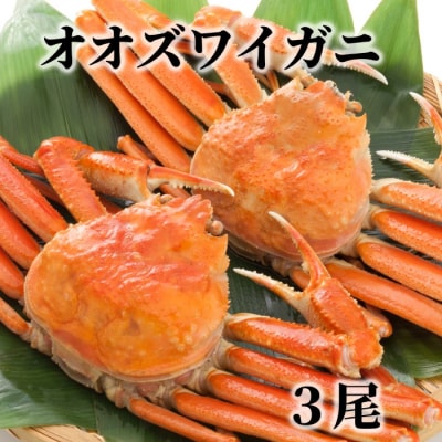 北海道産　ボイルオオズワイガニ姿　3尾