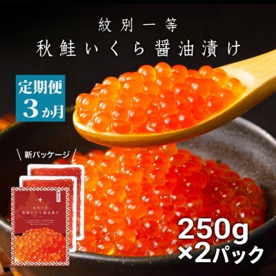 【定期便3か月】紋別一等～いくら醤油漬け500g(250g×2パック)×3回★