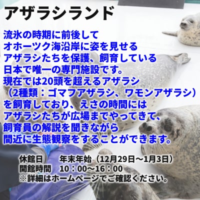 ガリンコ号Ⅲ IMERU 冬期運航 流氷クルーズ乗船券(3施設入場券セット)★