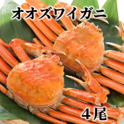 北海道産　ボイルオオズワイガニ姿　4尾