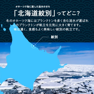 【定期便3か月】紋別一等～冷凍帆立貝柱1.1kg×1パック×3回★