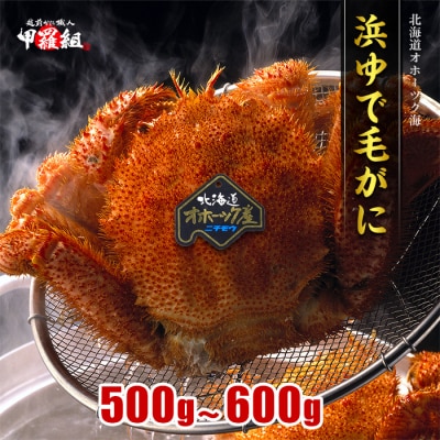 【甲羅組】北海道産　ボイル毛蟹