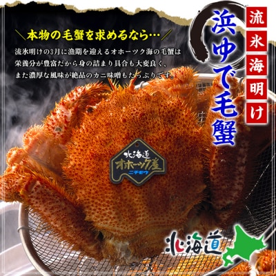 【甲羅組】北海道産　ボイル毛蟹