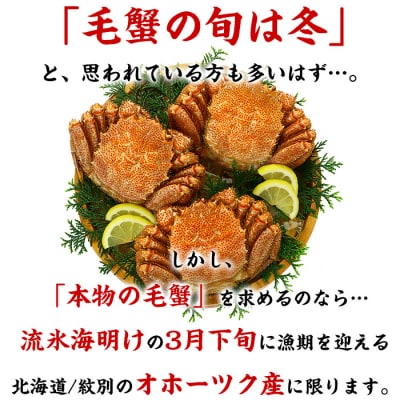 【甲羅組】北海道産　ボイル毛蟹