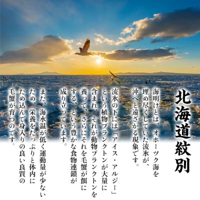 【甲羅組】北海道産　ボイル毛蟹