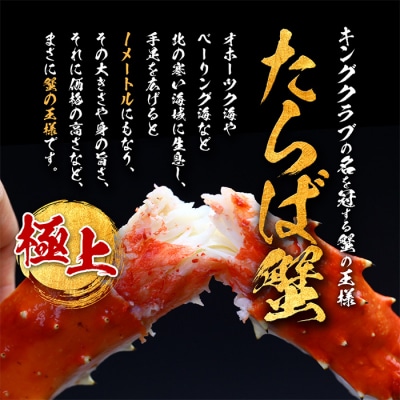 【甲羅組】カット済み特大生たらば蟹足