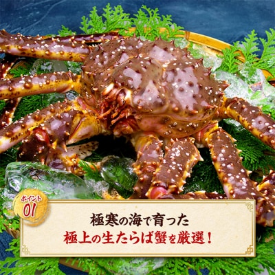 【甲羅組】カット済み特大生たらば蟹足