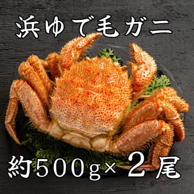 流氷明け浜ゆで毛ガニ約500g×2尾
