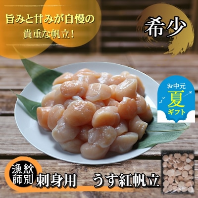 【お中元】【希少】お刺身用 うす紅帆立800g　| 北海道産　グルメ　海鮮丼