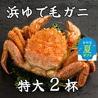 【お中元】流氷明け浜ゆで毛ガニ　特大2杯