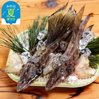 【お中元】オホーツク八角丸干し1kg