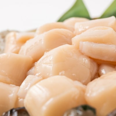 【お中元】大粒!冷凍帆立貝柱500g×2(計1kg)