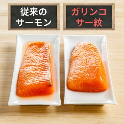 【お中元】ガリンコサー紋