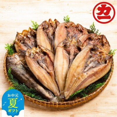 【お中元】どどーんと8枚!しまほっけ一夜干しセット
