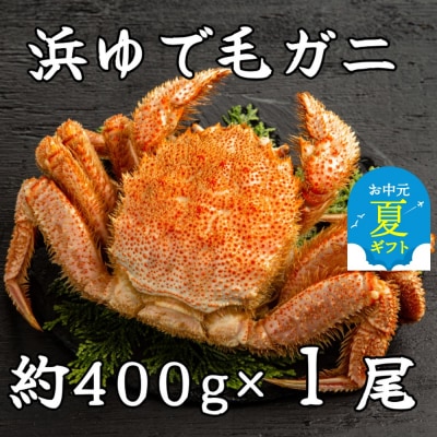 【お中元】流氷明け浜ゆで毛ガニ約400g