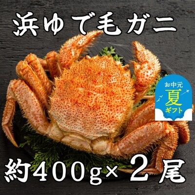 【お中元】流氷明け浜ゆで毛ガニ約400g×2尾