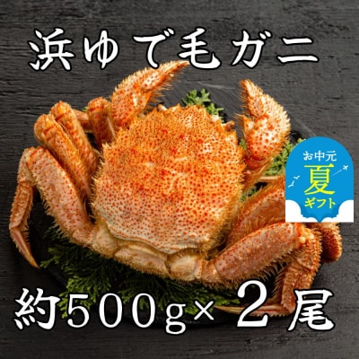 【お中元】流氷明け浜ゆで毛ガニ約500g×2尾