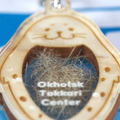 毛(もう)かわいすぎ!キーホルダー