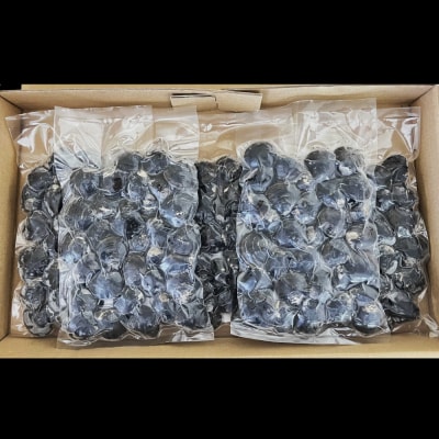 紋別産しじみ1kg