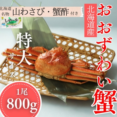 【北海道産】特大サイズ オオズワイガニ姿　800g以上1尾 | 蟹酢・山わさび付　かに　おおずわいが