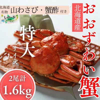 【北海道産】オオズワイガニ姿　特大サイズ2尾計1.6kg | 蟹酢・山わさび付　かに　おおずわいがに
