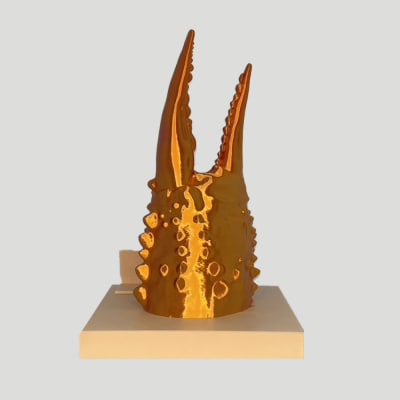 カニの爪オブジェ(大型)ケース付き