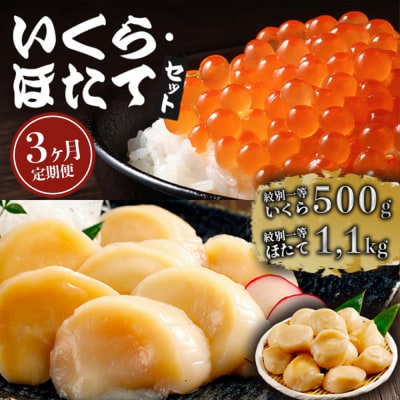 【定期便3か月】いくら醤油漬け500gほたて1.1kgセット×3回