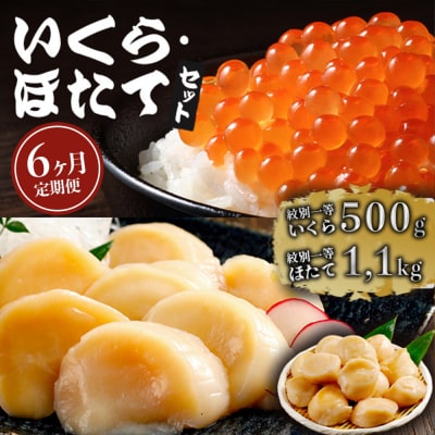 【定期便6か月】いくら醤油漬け500gほたて1.1kgセット×6回★