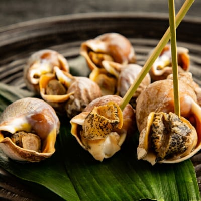 エゾばい貝(磯ツブ)『醤油煮』900g(300g×3)