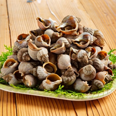 エゾばい貝(磯ツブ)『醤油煮』900g(300g×3)