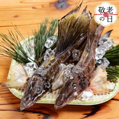【敬老ギフト】オホーツク八角丸干し1kg