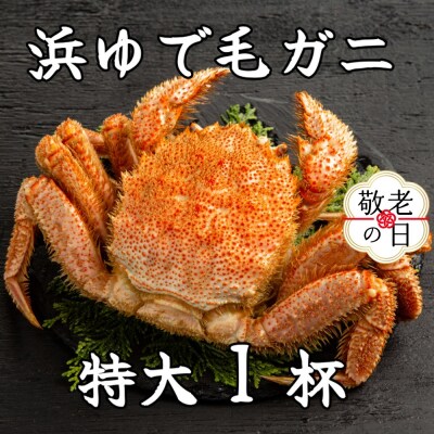 【敬老ギフト】流氷明け浜ゆで毛ガニ　特大1杯