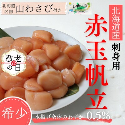 【敬老ギフト】【希少】お刺身用 赤帆立800g×2セット　|北海道産　グルメ　海鮮丼