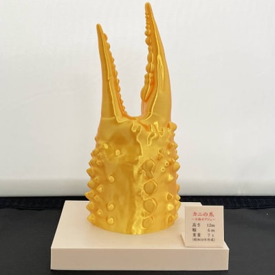 【敬老ギフト】限定!カニの爪オブジェ(大型)『金』ケース付き
