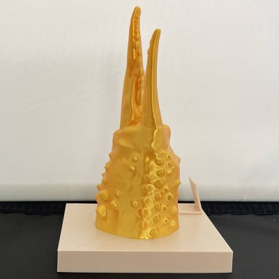 【敬老ギフト】限定!カニの爪オブジェ(大型)『金』ケース付き