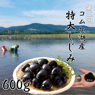 【北海道】北の漁師のごちそう　定期便　12品　全4回【紋別漁師食堂謹製】| 帆立　ほたて　蟹　★