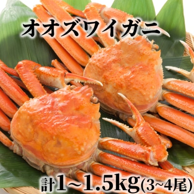 北海道産 ボイルオオズワイガニ姿 計1~1.5kg内外(3~4尾)