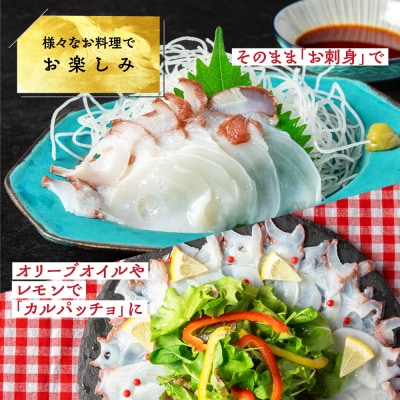 水だこ太足 小分け真空パック約700g～750g★