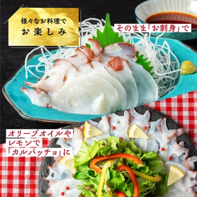 水だこ太足 小分け真空パック約3kg★