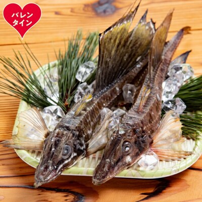 【バレンタインデー】オホーツク八角丸干し1kg