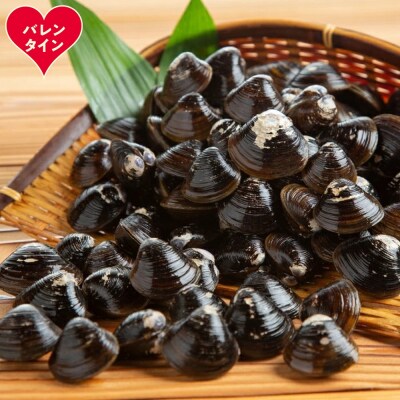 【バレンタインデー】冷凍砂出ししじみドーンと2.5kgセット